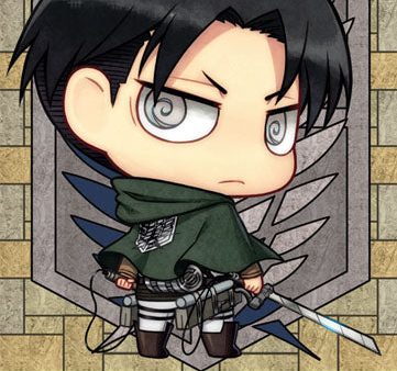 Attack On Titan Wall Scroll  Levi  Online Sale