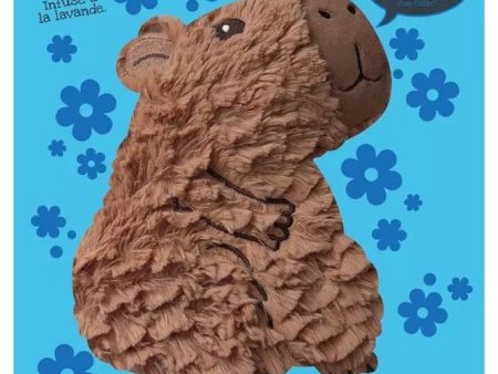 Adorable Heatable Huggable Capybara For Cheap