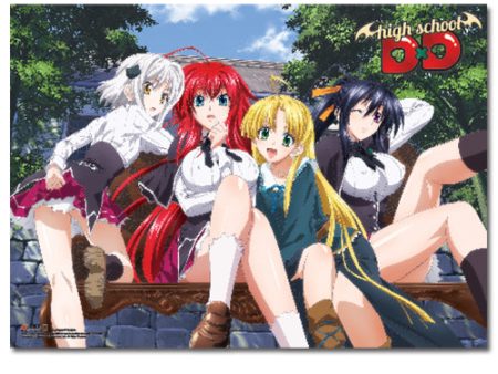 High School DxD Wall Scroll  Group  Hot on Sale