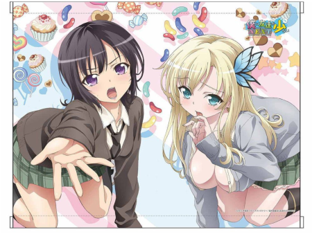 Haganai Next Wall Scroll  Yozora & Sena  For Cheap