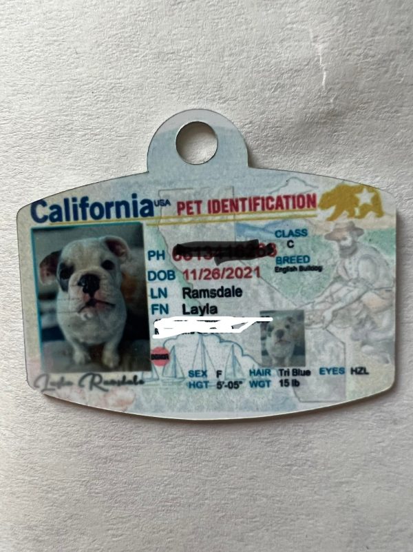 Pet ID Tag Personalized with your state Supply