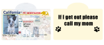 Pet ID Tag Personalized with your state Supply