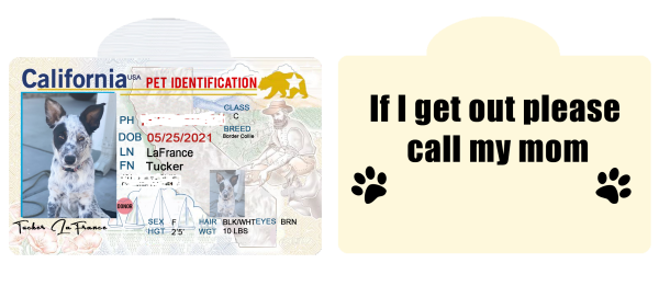 Pet ID Tag Personalized with your state Supply