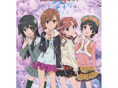 A Certain Series Wall Scroll  Cherry Blossoms  Supply