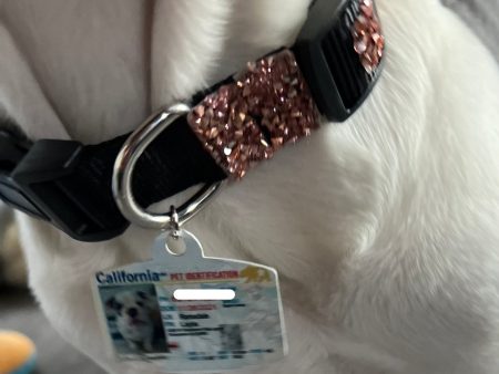 Pet ID Tag Personalized with your state Supply