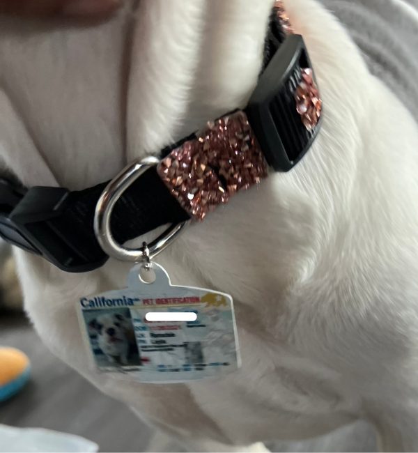 Pet ID Tag Personalized with your state Supply